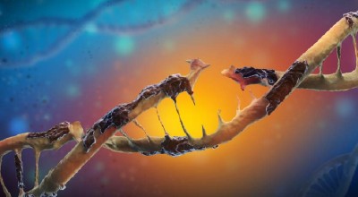ABclonal: Špičkové protilátky testované na knockoutu pro Western blot, průtokovou cytometrii a více!