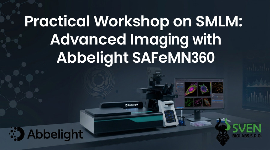 Practical Workshop on SMLM