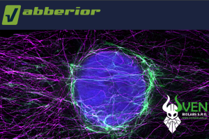 Jak na vícekanálový STED