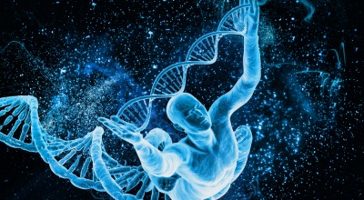 Kilobaser - kávovar na DNA primery