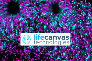 LifeCanvas Technologies