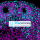 LifeCanvas Technologies