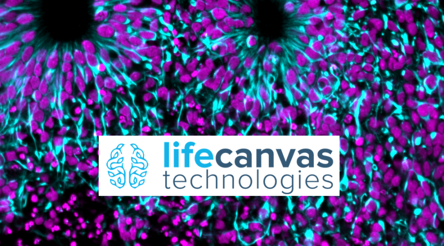 LifeCanvas Technologies