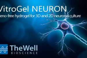 VitroGel® NEURON - Nový standard pro neuronové kultury bez živočišných složek