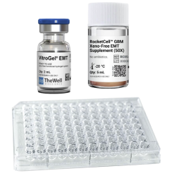 VitroGel® Glioblastoma (GBM) Xeno-Free EMT Kit