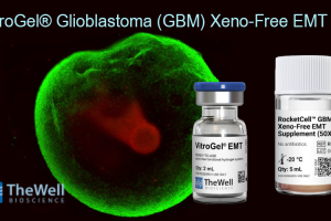 VitroGel® Glioblastoma (GBM) Xeno-Free EMT Kit