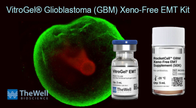 VitroGel® Glioblastoma (GBM) Xeno-Free EMT Kit