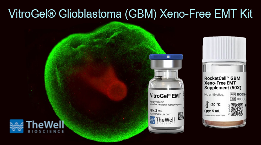 VitroGel® Glioblastoma (GBM) Xeno-Free EMT Kit