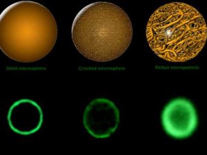 Vysokokapacitní funkcionalizované magnetické nanočástice ReSyn Biosciences