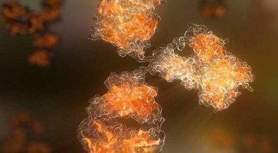 Vysoce kvalitní in vivo protilátky pro vaše pokroky ve vědě.