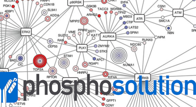 Historie fosfo-protilátek
