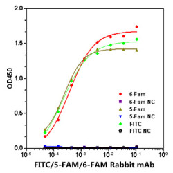 FITC/5-FAM/6-FAM Rabbit mAb