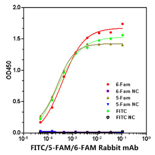 FITC/5-FAM/6-FAM Rabbit mAb