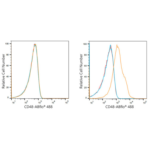 ABflo® 488 Rabbit anti-Human CD48 mAb