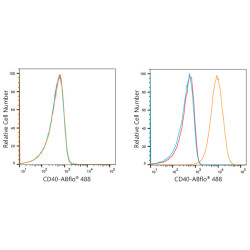 ABflo® 488 Rabbit anti-Human CD40 mAb