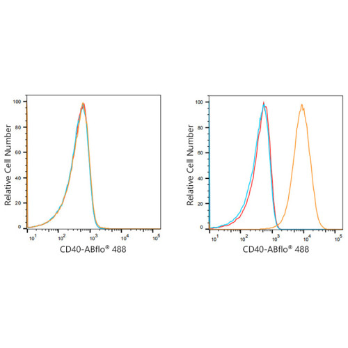 ABflo® 488 Rabbit anti-Human CD40 mAb
