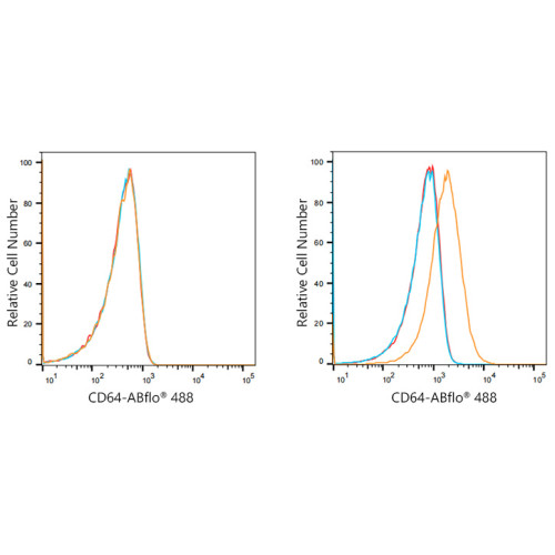 ABflo® 488 Rabbit anti-Human/Monkey CD64/FcγRI mAb
