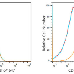 ABflo® 647 Rabbit anti-Human/Monkey CD86 mAb