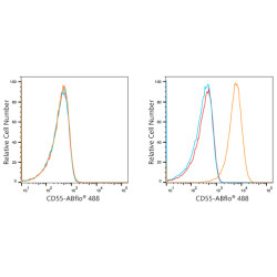 ABflo® 488 Rabbit anti-Human CD55 mAb