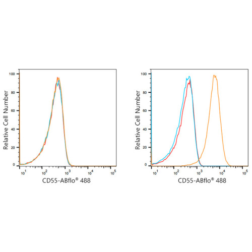 ABflo® 488 Rabbit anti-Human CD55 mAb