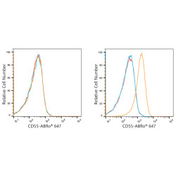 ABflo® 647 Rabbit anti-Human CD55 mAb