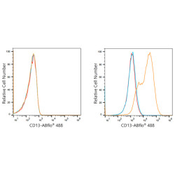 ABflo® 488 Rabbit anti-Human CD13/ANPEP mAb