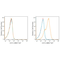 ABflo® 647 Rabbit anti-Human CD13/ANPEP mAb