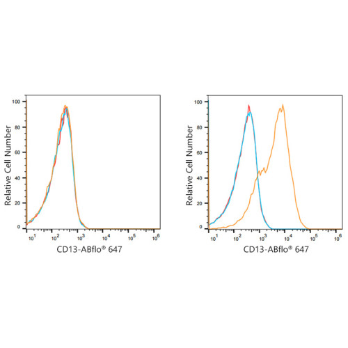 ABflo® 647 Rabbit anti-Human CD13/ANPEP mAb