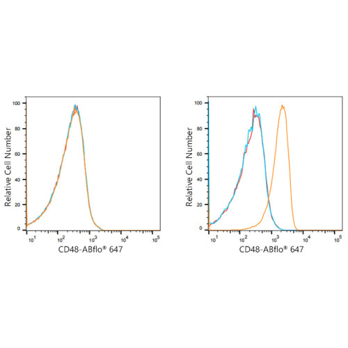 ABflo® 647 Rabbit anti-Human CD48 mAb