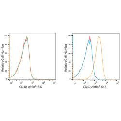 ABflo® 647 Rabbit anti-Human CD40 mAb