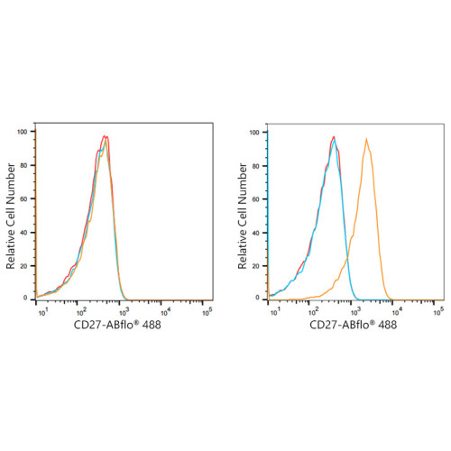 ABflo® 488 Rabbit anti-Human CD27 mAb