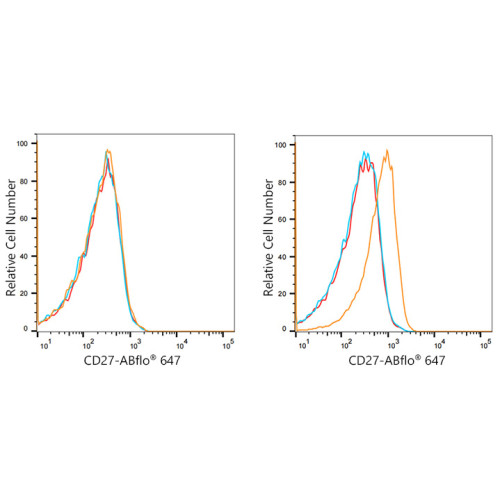 ABflo® 647 Rabbit anti-Human CD27 mAb