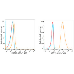 ABflo® 488 Rabbit anti-Human Cytokeratin 19/KRT19 mAb