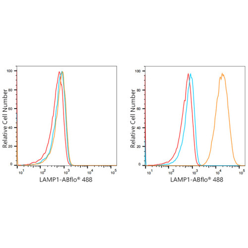 ABflo® 488 Rabbit anti-Human CD107a/LAMP1 mAb