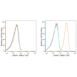 ABflo® 647 Rabbit anti-Human CD107a/LAMP1 mAb