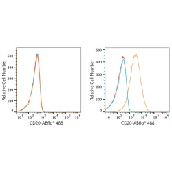 ABflo® 488 Rabbit anti-Human/Monkey CD20 mAb