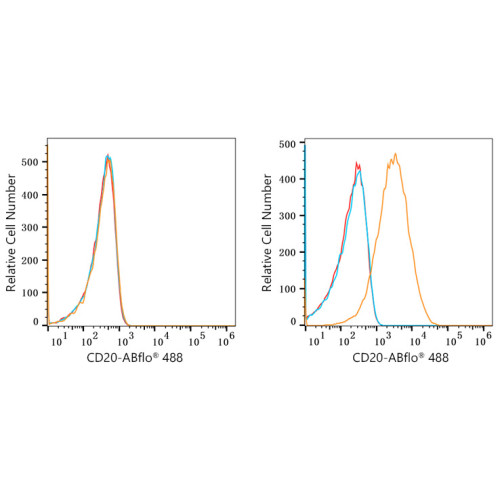 ABflo® 488 Rabbit anti-Human/Monkey CD20 mAb