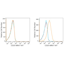 ABflo® 647 Rabbit anti-Human/Monkey CD20 mAb