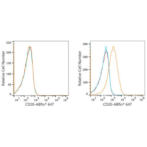ABflo® 647 Rabbit anti-Human/Monkey CD20 mAb