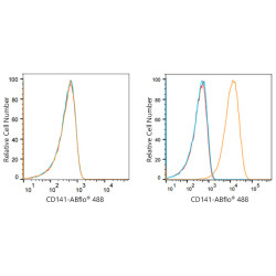 ABflo® 488 Rabbit anti-Human CD141/Thrombomodulin mAb