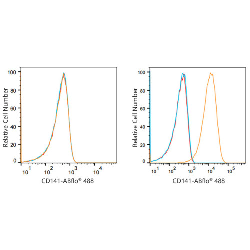 ABflo® 488 Rabbit anti-Human CD141/Thrombomodulin mAb