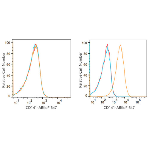 ABflo® 647 Rabbit anti-Human CD141/Thrombomodulin mAb