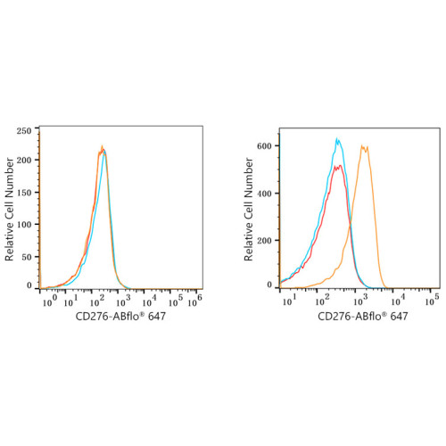 ABflo® 647 Rabbit anti-Human/Mouse CD276/B7-H3 mAb