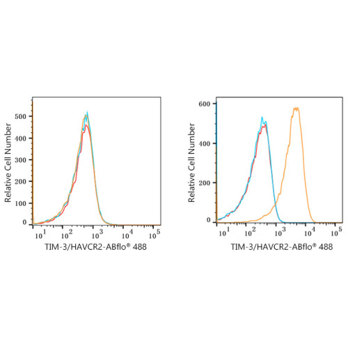 ABflo® 488 Rabbit anti-Human CD366/TIM-3/HAVCR2 mAb