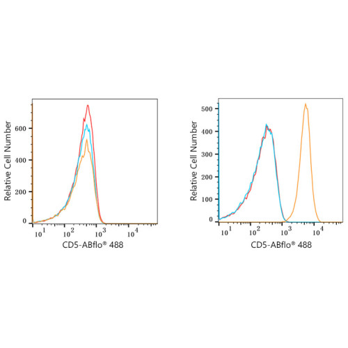 ABflo® 488 Rabbit anti-Human CD5 mAb