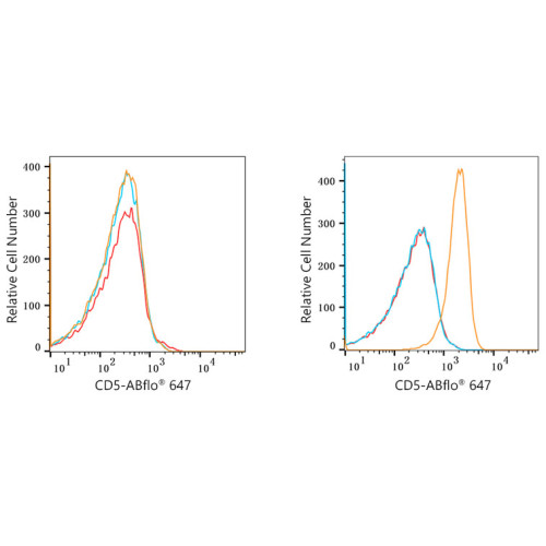 ABflo® 647 Rabbit anti-Human CD5 mAb