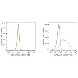 ABflo® 488 Rabbit anti-Human CD66c/CEACAM6 mAb