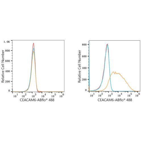 ABflo® 488 Rabbit anti-Human CD66c/CEACAM6 mAb
