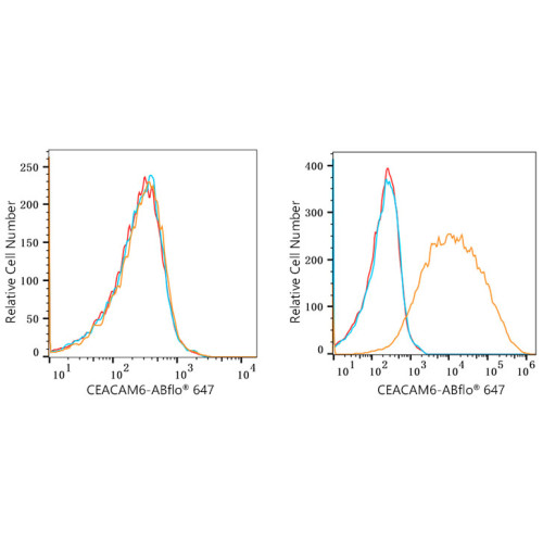 ABflo® 647 Rabbit anti-Human CD66c/CEACAM6 mAb