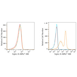 ABflo® 488 Rabbit anti-Human Siglec-8 mAb